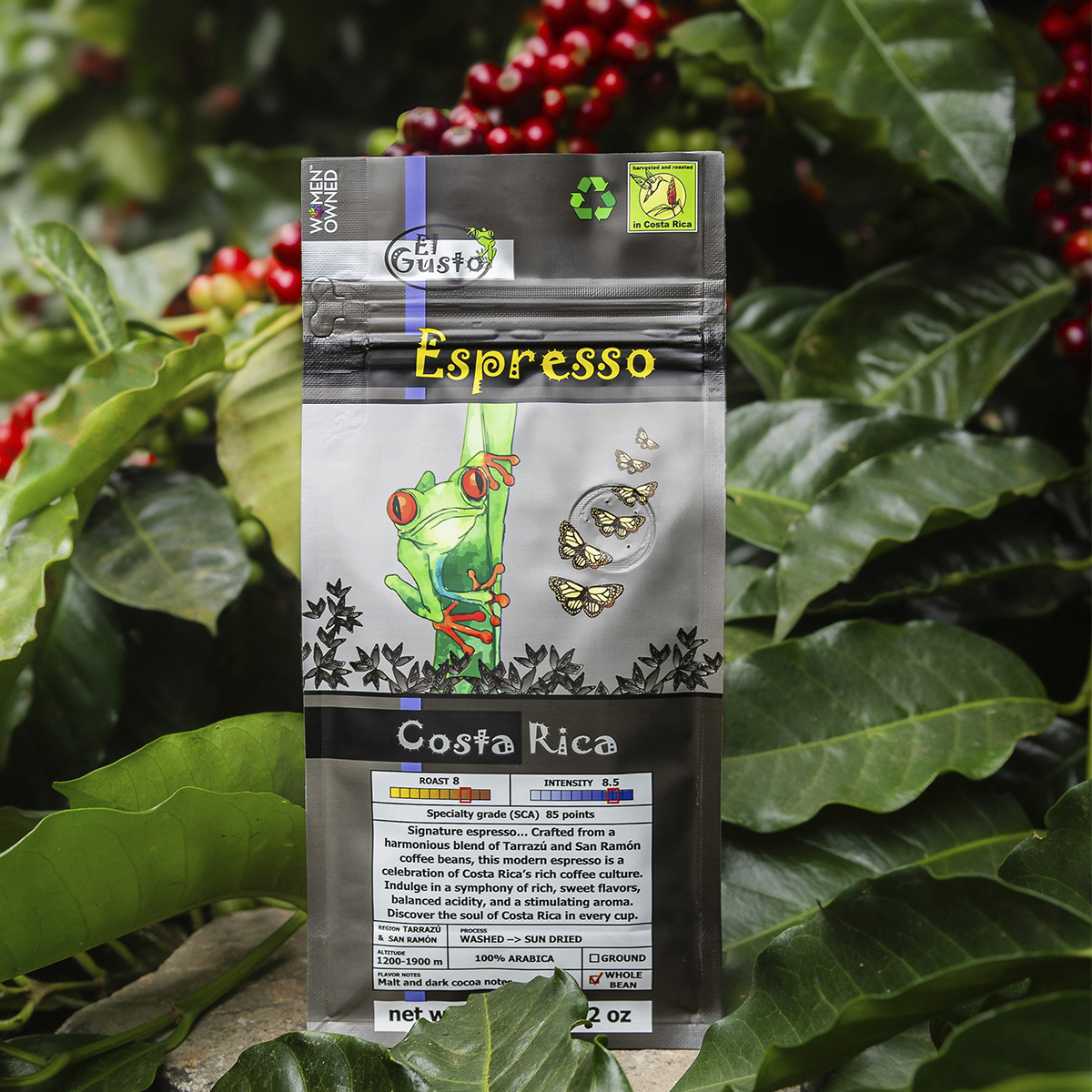 ROASTED GROUND COFFEE El Gusto Espresso - 8.8 Oz - Image 3