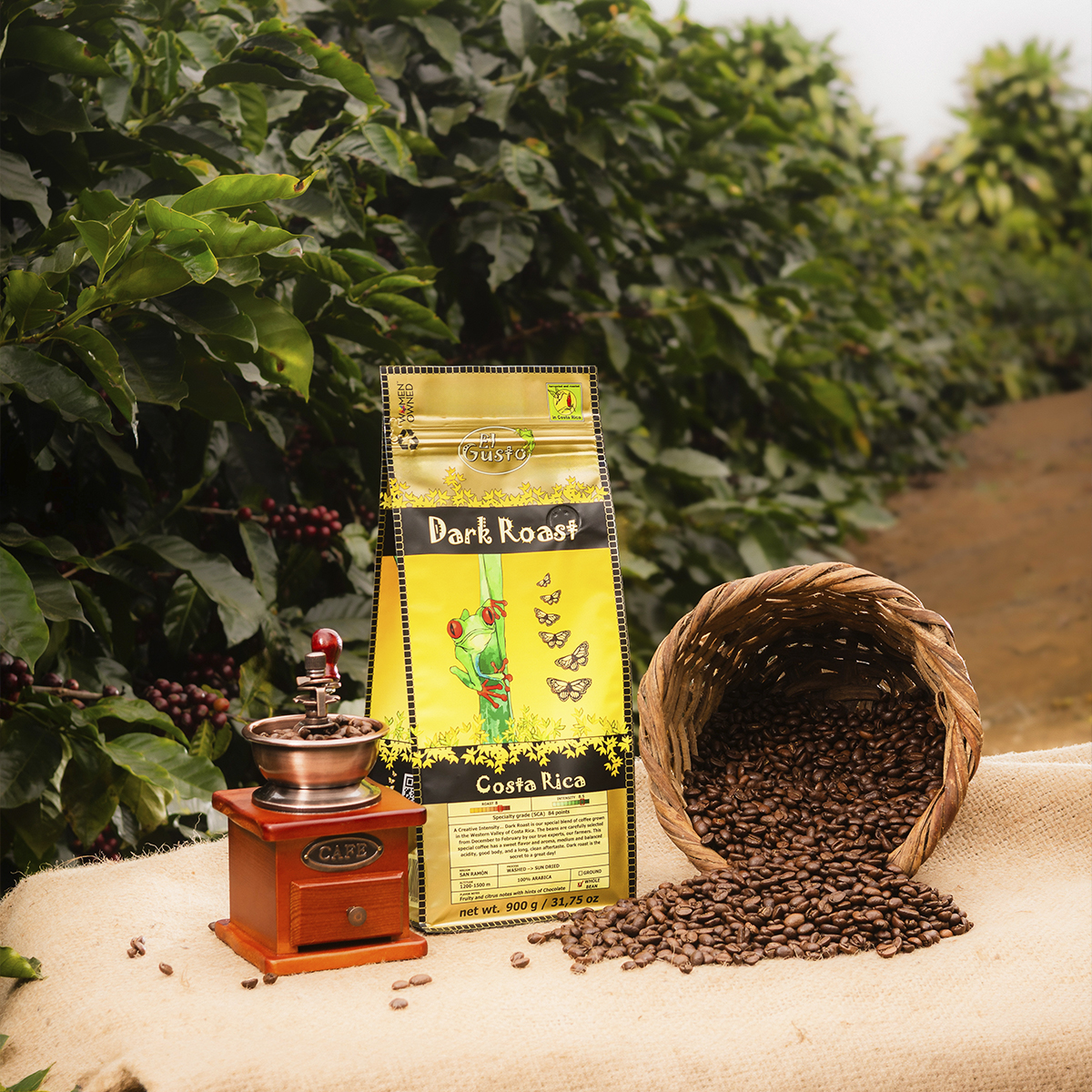 ROASTED WHOLE BEAN COFFEE El Gusto Dark Roast - 31.75 Onz - Image 5