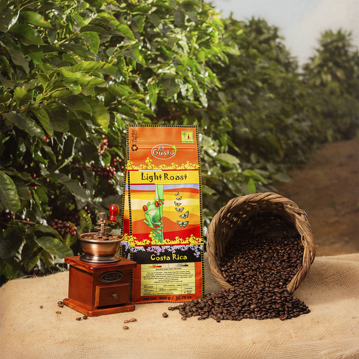 ROASTED WHOLE BEAN COFFEE El Gusto Light Roast - 31.75 Onz - Image 5