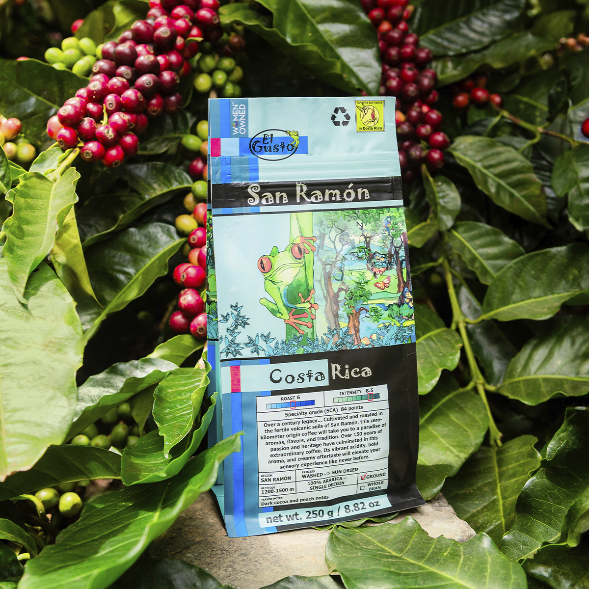 ROASTED WHOLE BEAN COFFEE El Gusto San Ramón - 8.8 Oz - Image 5