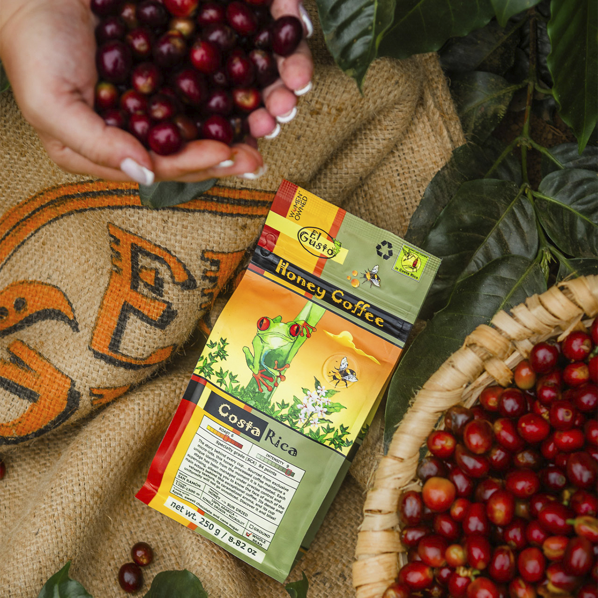 ROASTED WHOLE BEAN COFFEE El Gusto Honey - 8.8 Oz - Image 6