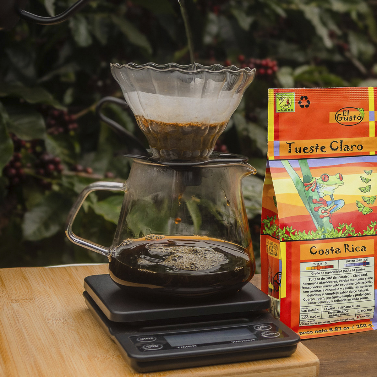 ROASTED WHOLE BEAN COFFEE El Gusto Light Roast - 8.8 Oz - Image 7