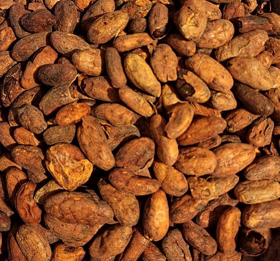 SUGAR FREE COCOA MONK FRUIT CHOCOLATE – EL GUSTO - 10.58 Oz